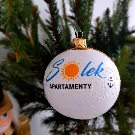 Solek I Goscinne Apartment *