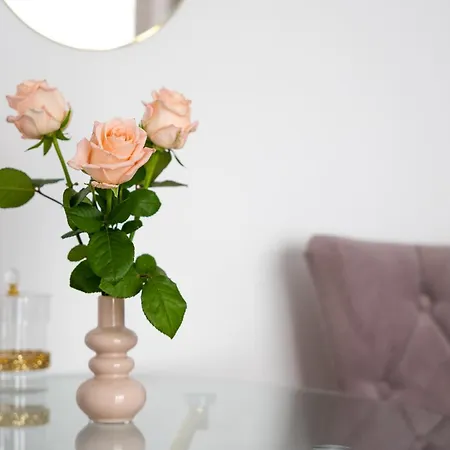 Solek, Hotelowe I Goscinne Ze Sniadaniem, Przyjazne Zwierzetom, Wyjetkowe, Z Widokiem Na Jezioro Jamno I W Bardzo Bliskiej Odleglosci Od Morza Mielno (Koszalin)