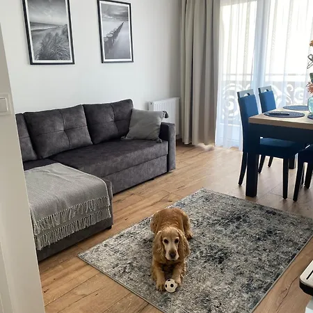 Apartman Solek, Hotelowe I Goscinne Ze Sniadaniem, Przyjazne Zwierzetom, Wyjatkowe, Z Widokiem Na Jezioro Jamno I W Bardzo Bliskiej Odleglosci Od Morza